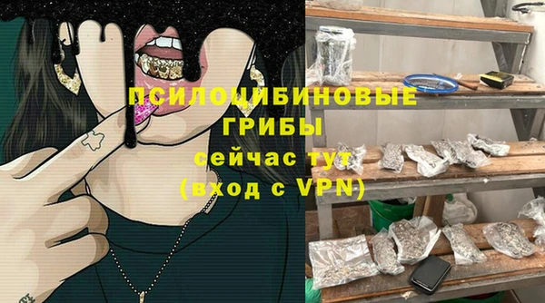 дмт Россошь