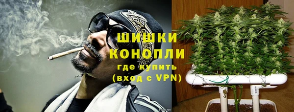 дмт Россошь