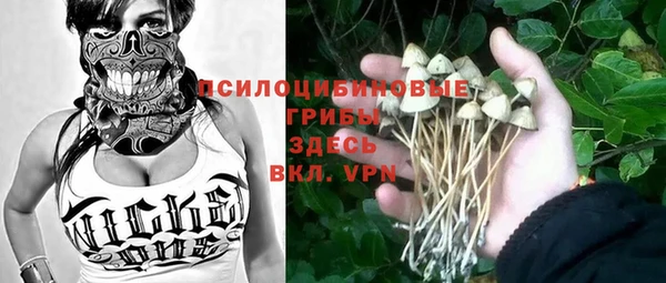 Альфа ПВП Пролетарск